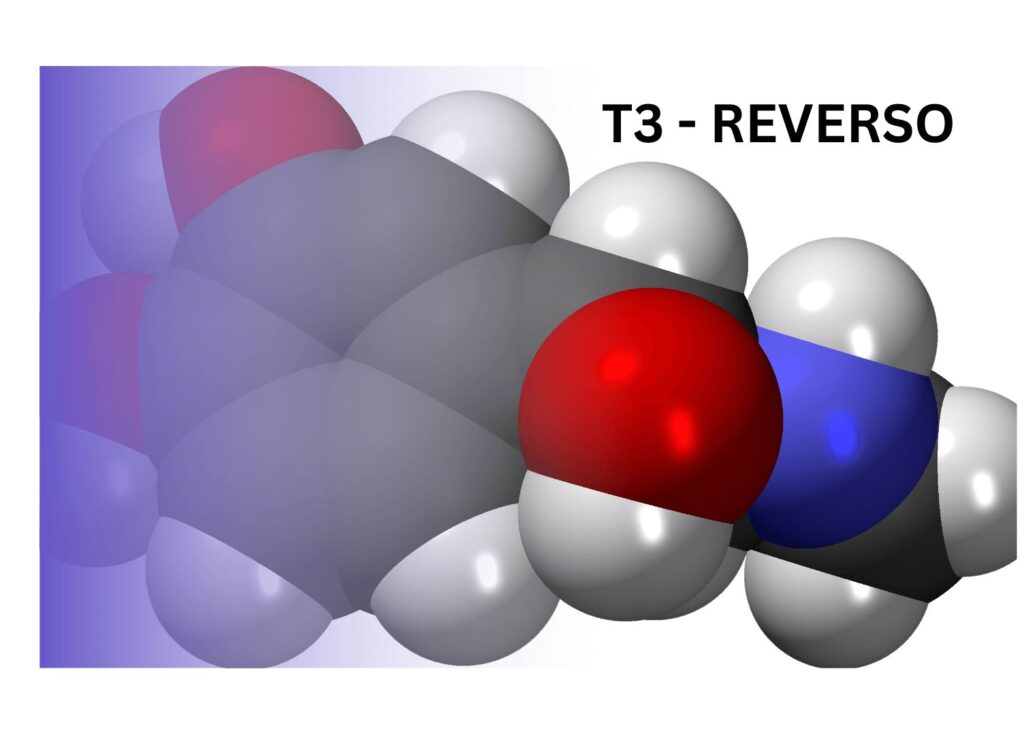 t3-reverso-Para-Que-Serve-Como-Interpretar-os-Resultados.