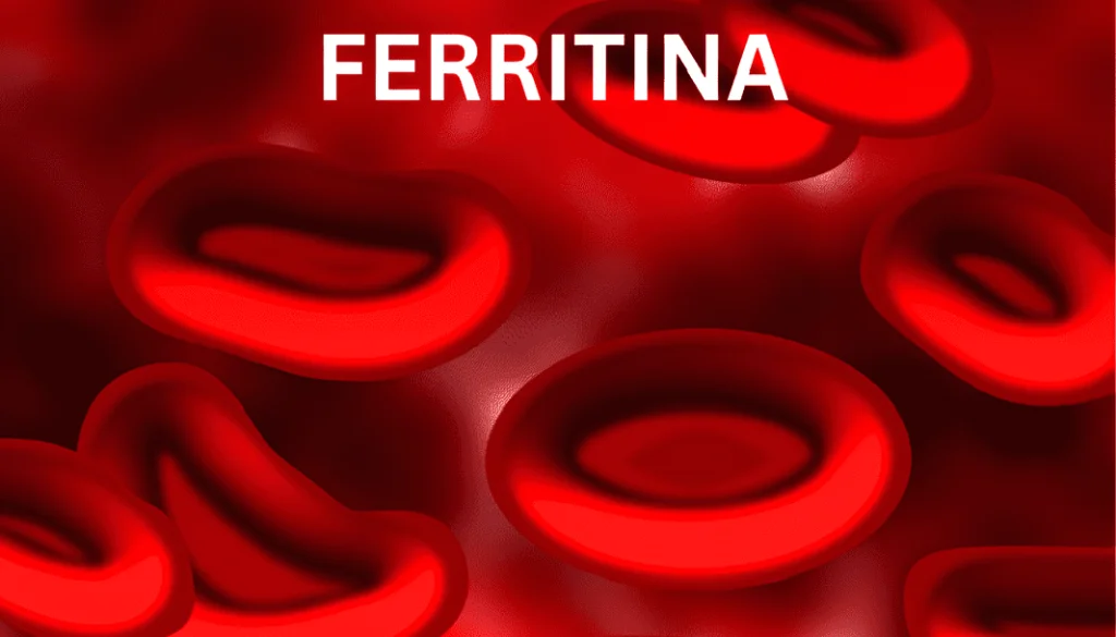 Ferritina Serica Ferritina Y Su Papel En La Enfermedad De Hashimoto E