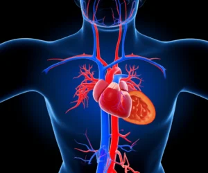 Colesterol-HDL-baixo-ou-alto-sintomas-exame-e-o-que-fazer-saude-diagnostica