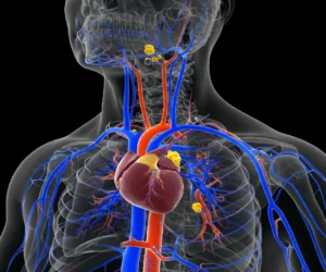 Colesterol-LDL-Alto-Entenda-e-Reduza-com-Urgência