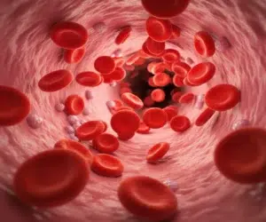hemoglobina-baixa-o-que-pode-ser-e-perigoso-saude-diagnostica
