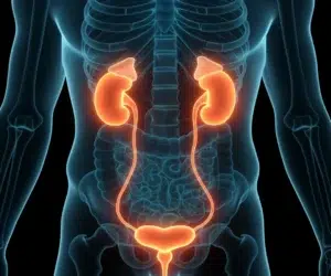 exame-de-microalbuminuria-o-que-e-para-que-serve-saude-diagnosticaexame-de-microalbuminuria-o-que-e-para-que-serve-saude-diagnostica